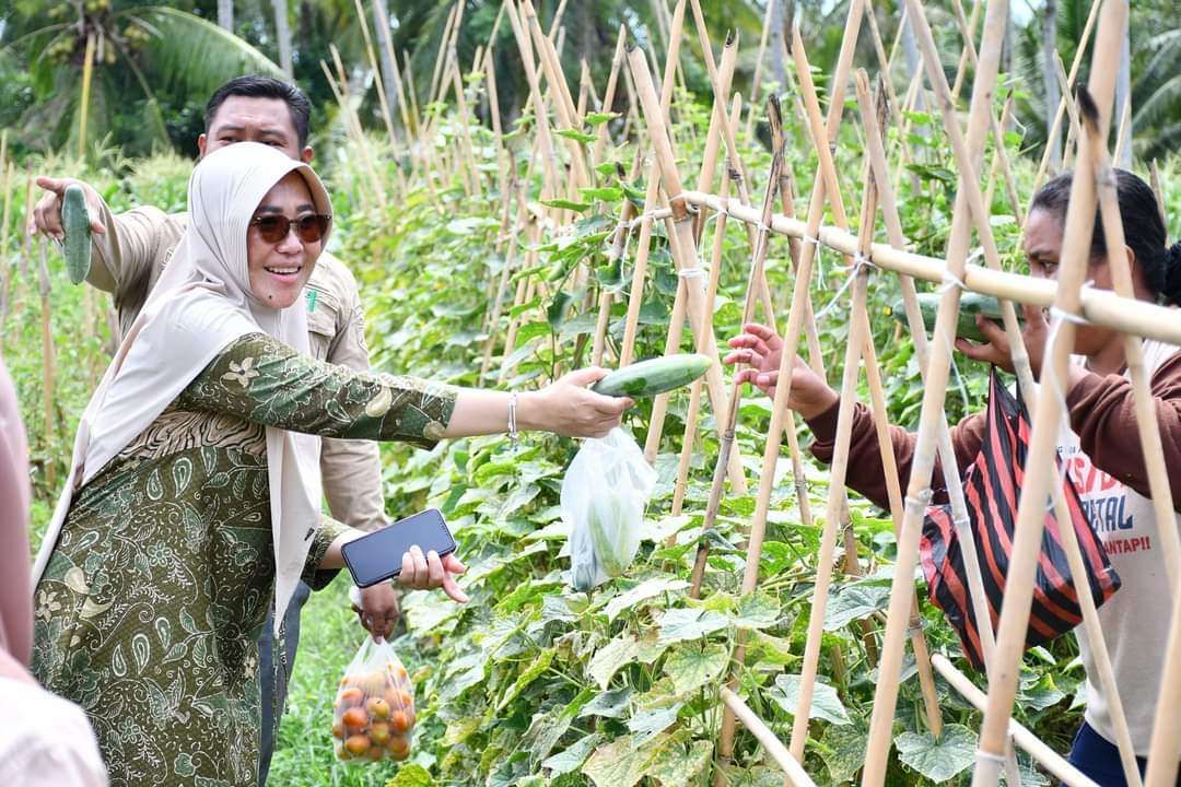 MBG Peluang Bagi Petani Buah Tingkatkan Produksi
